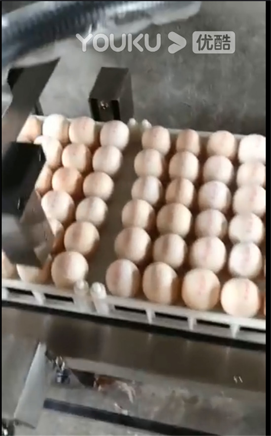 四川噴碼機(jī)客戶(hù)案例