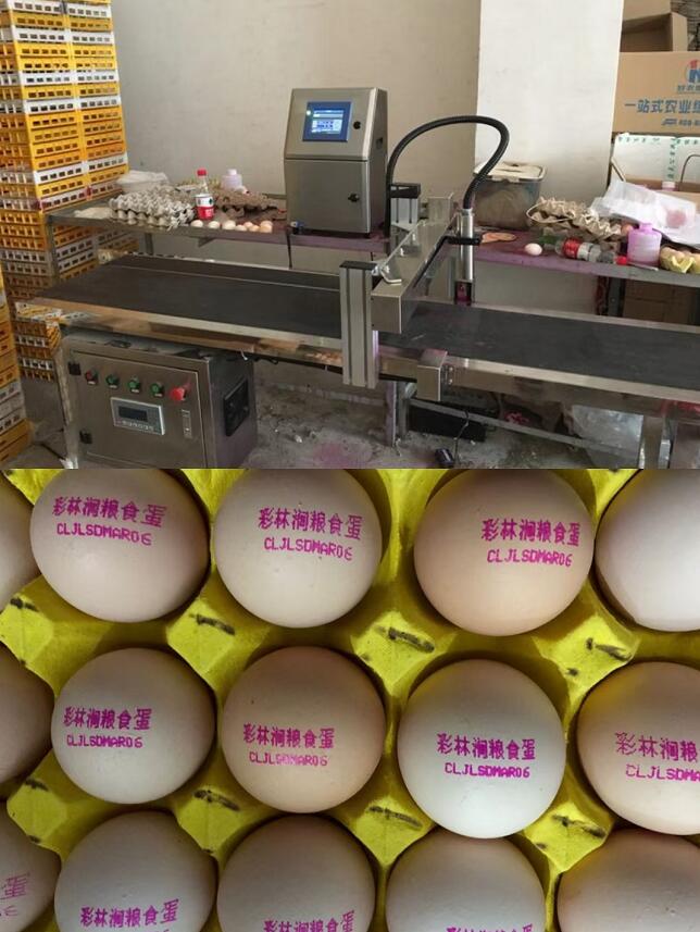 四川激光噴碼機(jī)